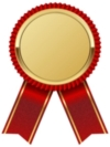 Winner medal