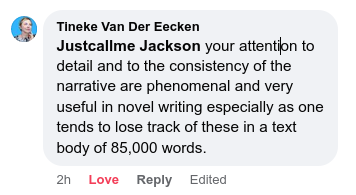 Screenshot of comment by Tineke Van der Eecken: Your attention to detail and to the consistency of the narrative are phenomenal and very useful in novel writing